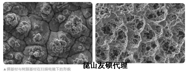 吕梁蔡司吕梁扫描电镜